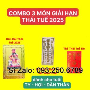 Bộ cúng sao giải thái tuế năm ẤT TỴ 2025 (CÓ HƯỚNG DẪN SỬ DỤNG ĐI KÈM) - vật phẩm phong thủy