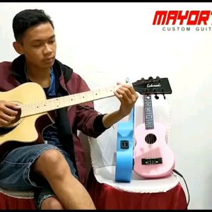 gitar lakewood akustik elektrik