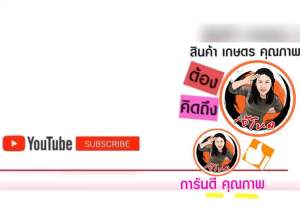 ชุดฝาลานสตาร์ท เลื่อยยนต์ เลื่อยยนต์ New West 6688i - 688 ใส่ด้วยกันได้