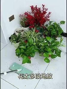 Outdoor Garden Iron Rack 1/3/5/PCS Wall Hanging Planter  Stand Rak Pasu Bunga Besi Gantung Dinding