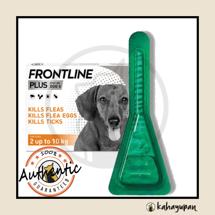 Frontline small on sale