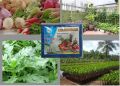 Phân Bón SOS 30-10-10+3+TE 50Gr – Dinh Dưỡng Toàn Diện, Tăng Trưởng Tối Ưu. 