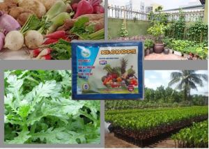 Phân Bón SOS 30-10-10+3+TE 50Gr – Dinh Dưỡng Toàn Diện Tăng Trưởng Tối Ưu