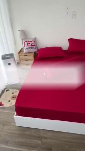 Bộ ga giường thun lạnh 4 món kèm vỏ ôm hàn quốc REE Bedding TL253 đủ size drap nệm 1m2 1m4 1m6 1m8