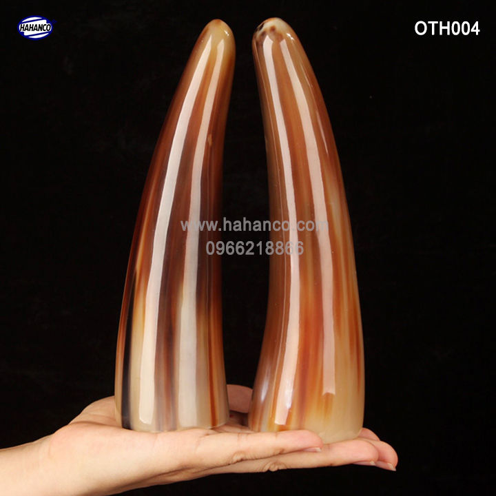 Chóp sừng bò Châu Phi - vật phẩm phong thủy- HOT nhất của năm trâu vàng 2021 - giàu sang/phú quý (OTH004) HAHANCO