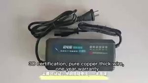 Universal Inligent Ebike Charger 48V/20AH For Electric Bicycle
