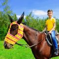 Frienda 4 Pieces Horse Fly Masks for Horses Horse Fly Mask with Ears Face Covering Elasticity Smooth and Comfortable Horse Mask with UV Protection(Large, Geometric). 