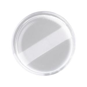 Transparent Silicone Cushion Puff Non Absorbent Makeup Blender Practical Reusable Cosmetic Applicator For Women