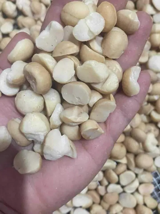 1kg Nhân macca vỡ đôi bể vùng Tây Nguyên