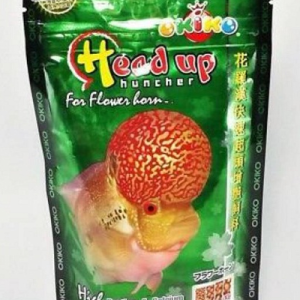 Okiko hijau head up huncher 100 Gram Size L Pelet Pakan Ikan Louhan Lohan