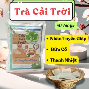 Trà Cây Cải Trời cải thiện u tuyến giáp bứu cổ - 40 Túi Lọc tra dong y viet