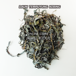 Daun Tempuyung Kering 1kg Asli Liar