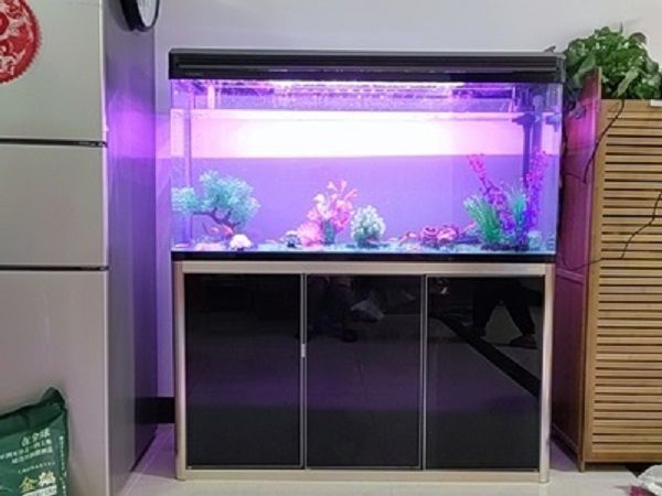 Pet Store Cheras Aquarium Shop Fish Tank Aquarium Large Living