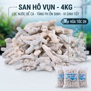 San Hô Vụn Lọc Nước Bể Cá 4kg - Vật Liệu Lọc Vi Sinh Tăng pH Hiệu Quả Cho Hồ Cá Cảnh