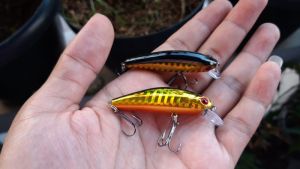 Umpan Minnow Lure Sinking 6gr Swimbait Gold Black: Panduan Lengkap