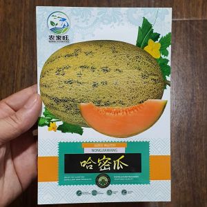 Hạt giống dưa lưới Tân Cương rằn ri siêu giòn ngọt Hoang My food and beauty