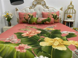 Bộ Drap gối Thun { 4 món} thun Ý 5D Cao Cấp  mát lạnh thấm hút tốt."