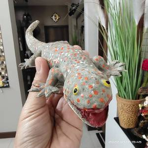 (1 ตัว) ยาว 25 ซ.ม. ตูกแกเปลอม ตูกแกยาง ตูกแก จิ้งจก ตูกตายาง ของเล่น ของสะสม สัตว์ปลอม ฮาโลวีน ฟิลเลอร์ toy fake rubber gecko animal halloween m24