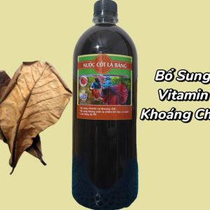 [CHAI LỚN] - Nước Cốt Lá Bàng Bổ Sung Vitamin Khoáng Chất Giúp Cá Cảnh Khỏe Sung Linh Hoạt
