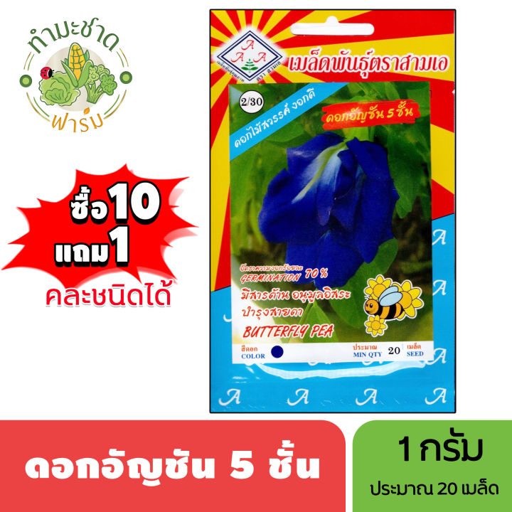 3A (ซื้อ10แถม1) เมล็ดพันธุ์ ดอกอัญชัน 5 ชั้น ขนาด1กรัม ประมาณ20เมล็ด ...