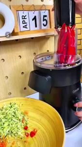 Giselle 600g 5-in-1 Electric Vegetable SlicerSalad Maker & French Fries Cutter200W Food Processor Chopper Shredder