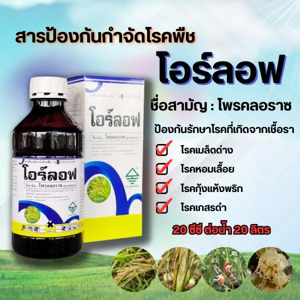 โอร์ลอฟ โพรคลอราซ ป้องกันโรคเมล็ดด่างในข้าว