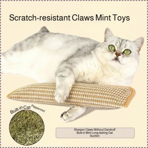 Catnip Pillow Catnip Cat Scratching Pad Holder Strong Odor Meticulous Sewing Durable Magic Claw