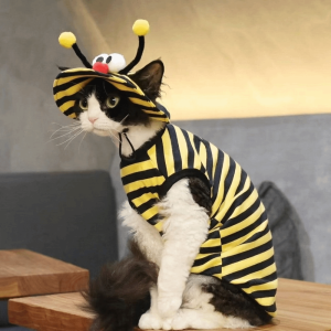 PETPARADIS Breathable Bee Themed Cat Outfit Set Striped T-Shirt with Sun Hat Pet Bee Costume Cute Lightweight Bee Cosplay Clothes Photo Props