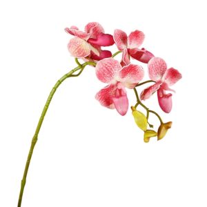 HPVDBP Real Touch Artificial Butterfly Orchid Branch 67cm 26.38in Plastic Fake Flowers Flower Arrangement Handmade EVA Orchid Flower Home Office Decor