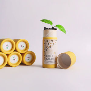 Lips Carpenter [Tints for Everyday] 3x Tinted Lip Balm 6g - Lip Tint for Dry Lips Cracked Lips Natural Lip Balm