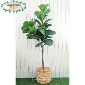 Pohon Artificial Hias Ketapang X3 T140 Pot Dasar Cover Eceng Gondok Dekorasi Caffe
