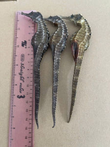 Khô cá ngựa đại dương thiên nhiên 1 cặp ( 2con ) hàng đẹp loại 1