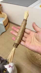 Silvervine Cat Toy Dental Chew Stick Raffia Gall Fruit Rope Self-Play