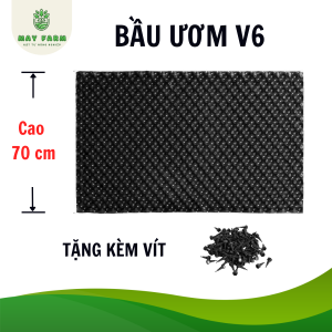 Bầu Ươm Cây V6 Cao từ 20cm đến 80cm DAI - DÀY - BÓNG Tặng Kèm Vít