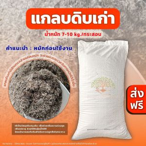 (ส่งฟรี)แกลบดิบเก่า 1 กระสอบ(7-10 kg.) แกลบเก่า คล้ายแกลบหมัก ใช้เวลาจัดส่ง 5-7 วันทำการ ส่งฟรี