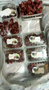 Buah anggur crimson 500gram pack