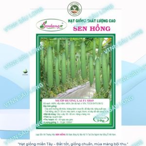 hạt giống Mướp Hương SH 45 trái dài 30-35cm trái xanh vỏ cứng gói 10g ( khoảng 96 đến 97 hạt)