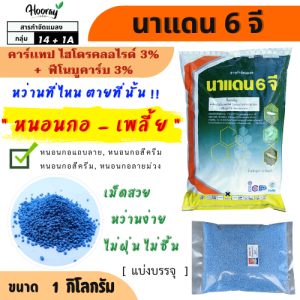 นาแดน 4 จี 1 กก. ( แบ่งบรรจุ )(คาร์เเทป ไฮโดรคลอไรด์) กำจัดหนอน ยาเม็ด ยาหว่าน หนอนกอ รองก้นหลุม