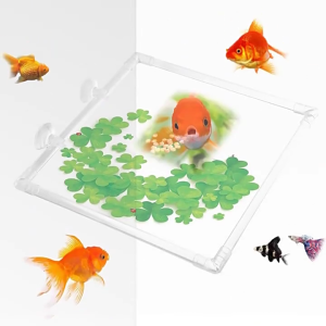 Antidrift Aquariums Dispenser Acrylic Feeding Corral Feeding Rings With Secure Suction Cup Attachment Easy Use