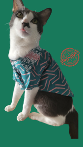 Pet Batik Shirt for Cats and Small Dogs Emerald Green Cotton Geometric Motives by Furry FInds Hub