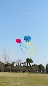 [SG Seller]Colorful Octopus Kite for Children No Assembly Required Pocket Kite for Beach & Park Activities