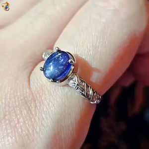 Iolite Titanium Adjustable Rings (2 Designs)