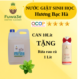 [ Combo nước giặt 10L tặng Ngâm rửa rau củ 1 Lit ] - Nước giặt hương Bạc Hà - can 10L