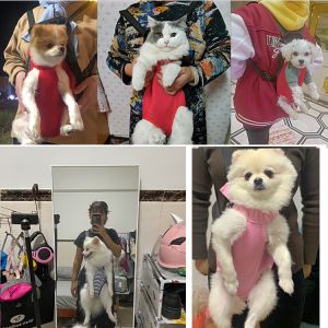 Ba Lô Mang Chó Thú Cưng Túi Lưới Có Tay Cầm Đeo Vai Thoáng Khí Du Lịch Ngoài Trời Cho Chó Nhỏ Chihuahua