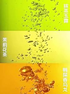 夏天冷泡茶包冷萃茶茉莉花茶5种口味无蔗糖冷水冰红水果茶绿茶叶