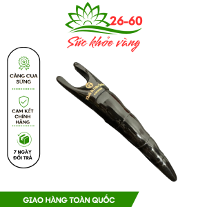 Càng Cua Sừng Diện Chuẩn - Nắn Chỉnh Cột Sống - Thông Kinh Hoạt Lạc - Dụng Cụ Diện Chẩn
