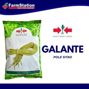 Pole Sitao Galante 1000gms (Eastwest Seeds)