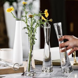Decorative Flower Vase Glass Transparent Compact Size Slanted Opening for Home Care and Daily Use Suitable for Storage flower vase glass vase for flower flower with vase Home Care