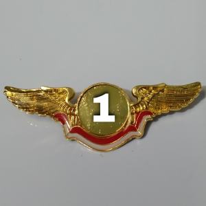 PIN BERLOGO CUSTOME WARNA EMAS TIDAK AKAN LUNTUR