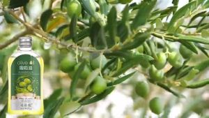 BUY 1 TAKE 1 Pure Olive Oil with Vitamin E for Face Skin Hair Anti-aging Moisturizing Essential OiL